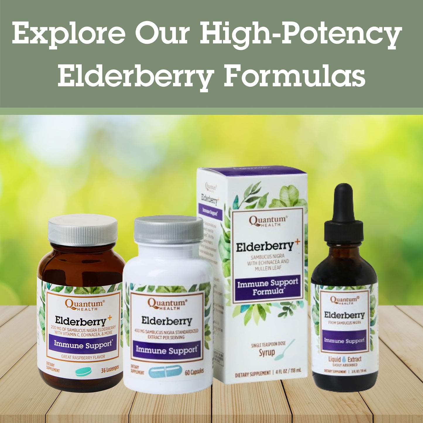 Quantum Health Black Elderberry Supplement – Sambucus Nigra Extract 400mg | Immune Support, 60 Capsules