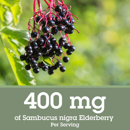 Quantum Health Black Elderberry Liquid Extract 700mg | Immune Support (Sambucus nigra) 2oz - Vegan