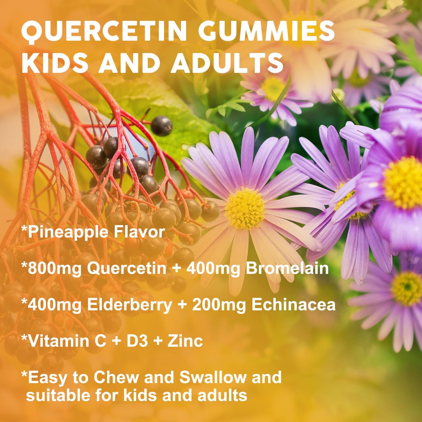 Quercetin Gummies with Bromelain - Immune Support for Adults & Kids, 800mg Quercetin, Pineapple Flavor, Sugar Free, Vegan | 60 Count