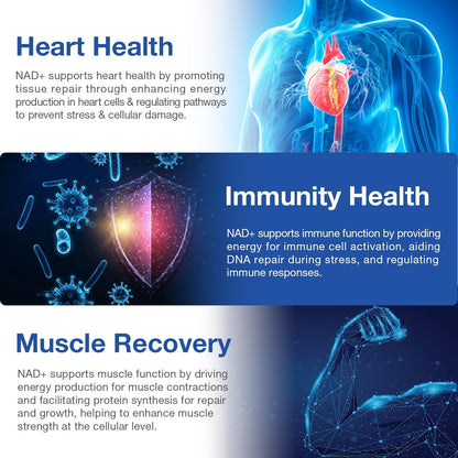 DUCRKACS NAD Supplement – NAD+ NR + Resveratrol for Energy & Anti-Aging