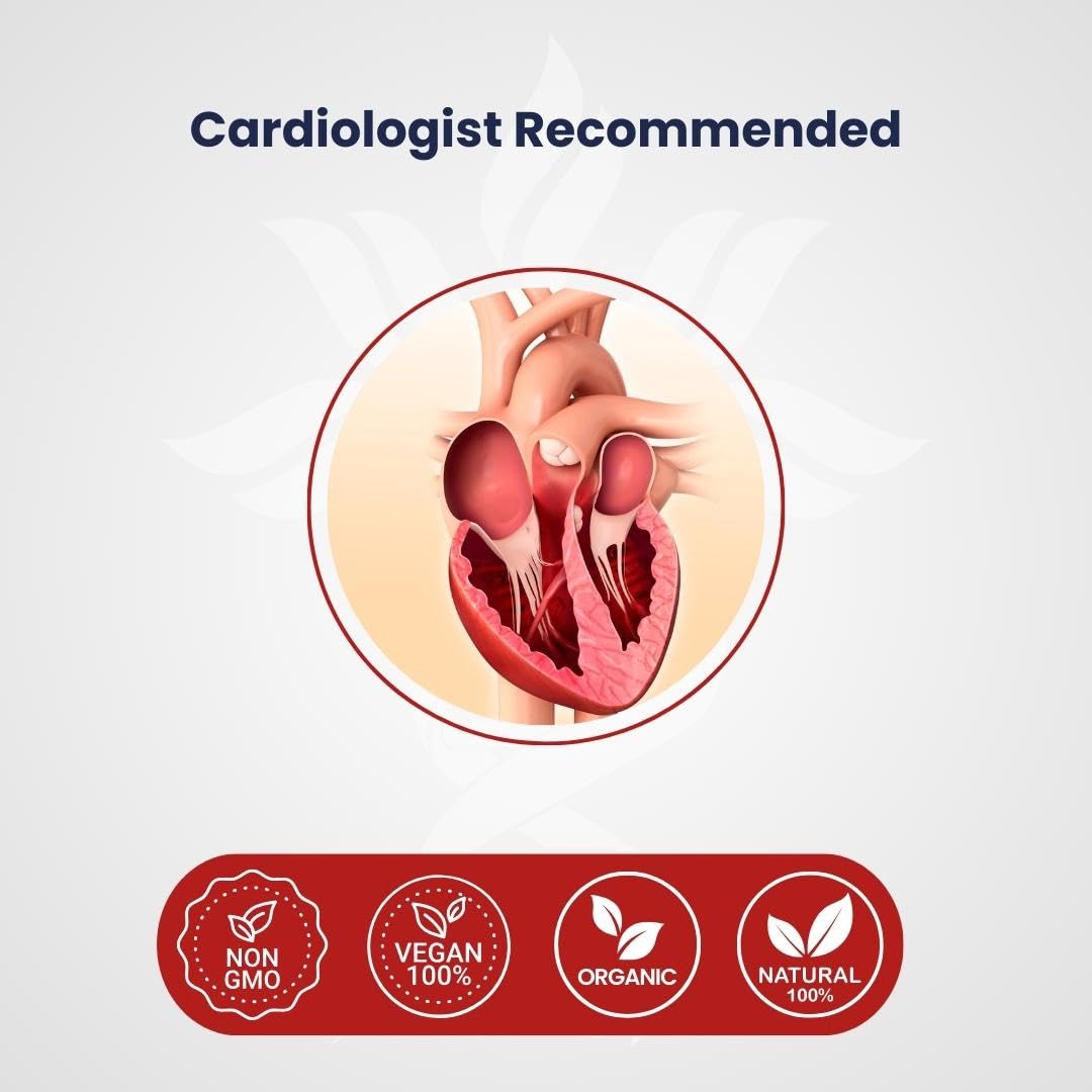 Qunol CoQ10 210mg Softgels – Heart Health & Energy Production | 240 Count