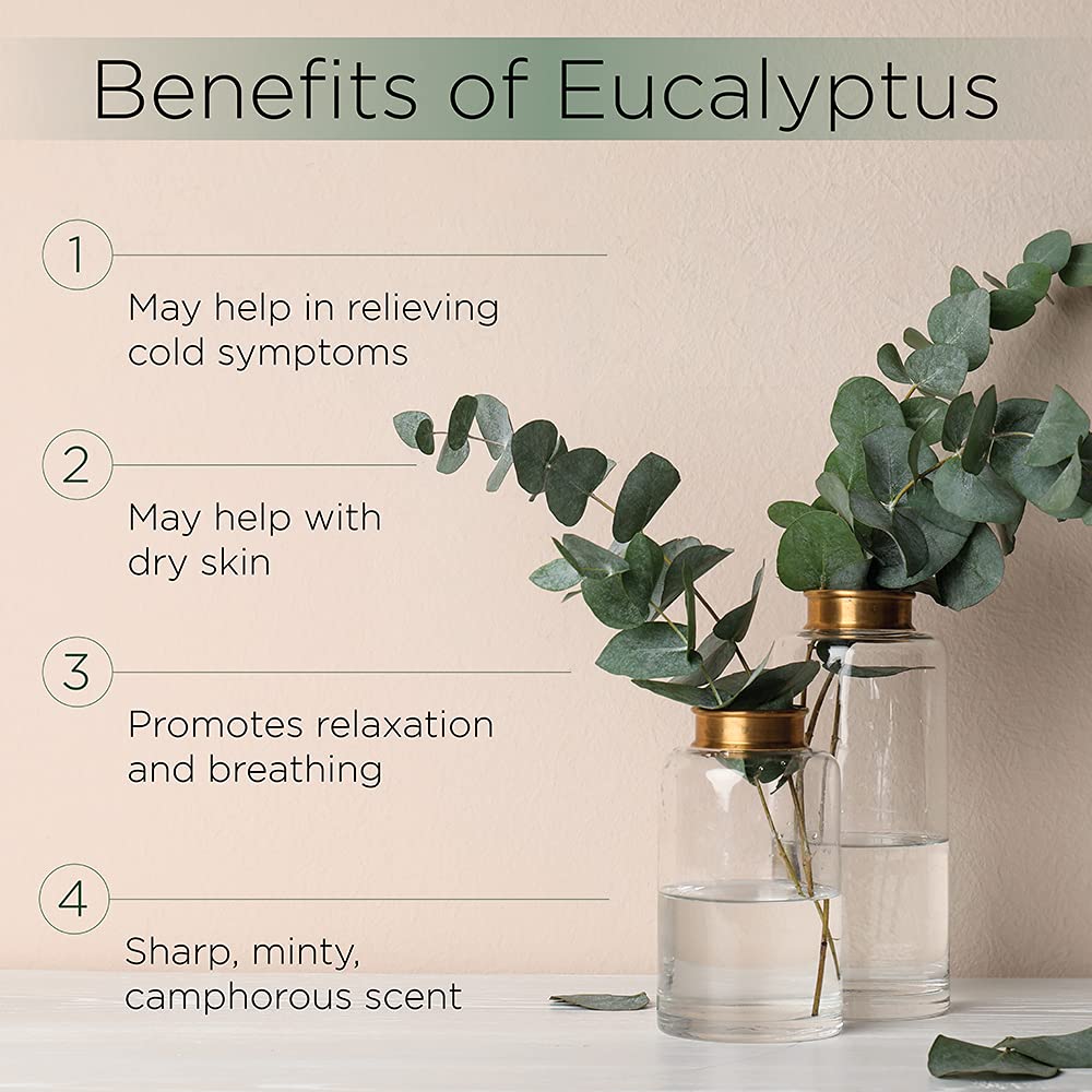 Radha Beauty Eucalyptus Essential Oil 4 oz – Pure & Therapeutic Grade