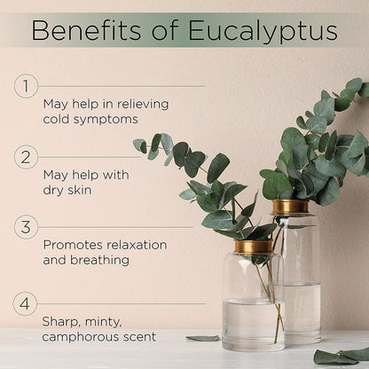 Radha Beauty Eucalyptus Essential Oil 4 oz – Pure & Therapeutic Grade