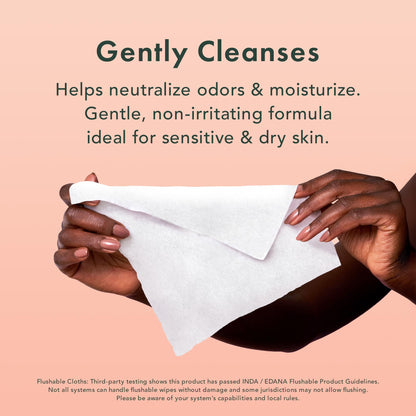 Rael Feminine Wipes | Soothing, pH-Balanced Care for Women | 3 Pack (4.4 fl oz each)