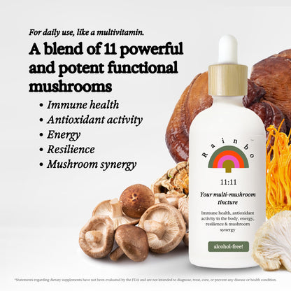 Rainbo 11:11 Multi Mushroom Tincture – 11-Mushroom Dual Extract for Immune & Brain Support, 3.4 fl oz, Vegan