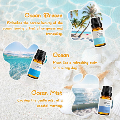 Beach Essential Oils for Diffusers – RAINBOW ABBY 6x10ml Set | Golden Dawn, Pink Sands, Coastal Linen, Ocean Breeze, Ocean, Ocean Mist