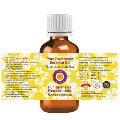 Ravensara Essential Oil (Ravensara aromatica) 10ml – Pure, Steam Distilled | dève herbes
