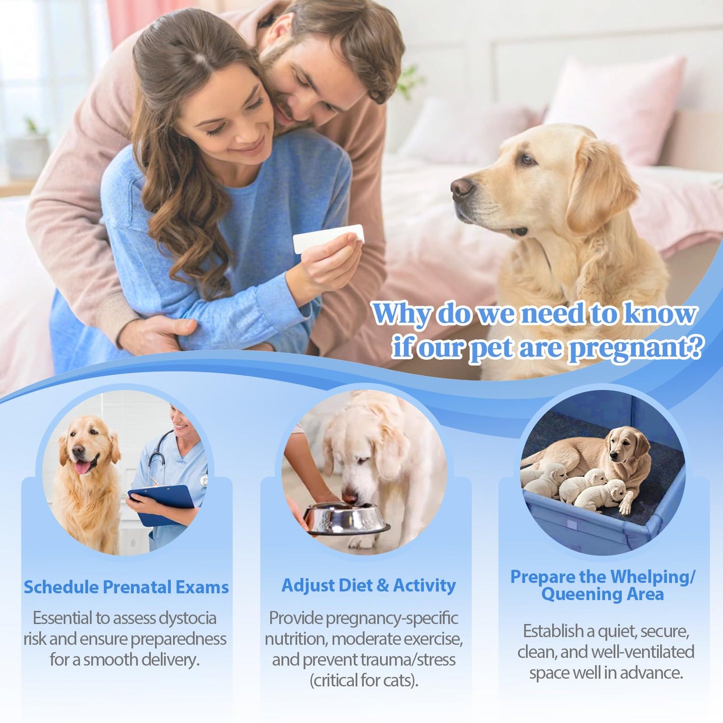 Dog & Cat Pregnancy Test Kit – At-Home Urine Test, 98.9% Accuracy, 5-Minute Results