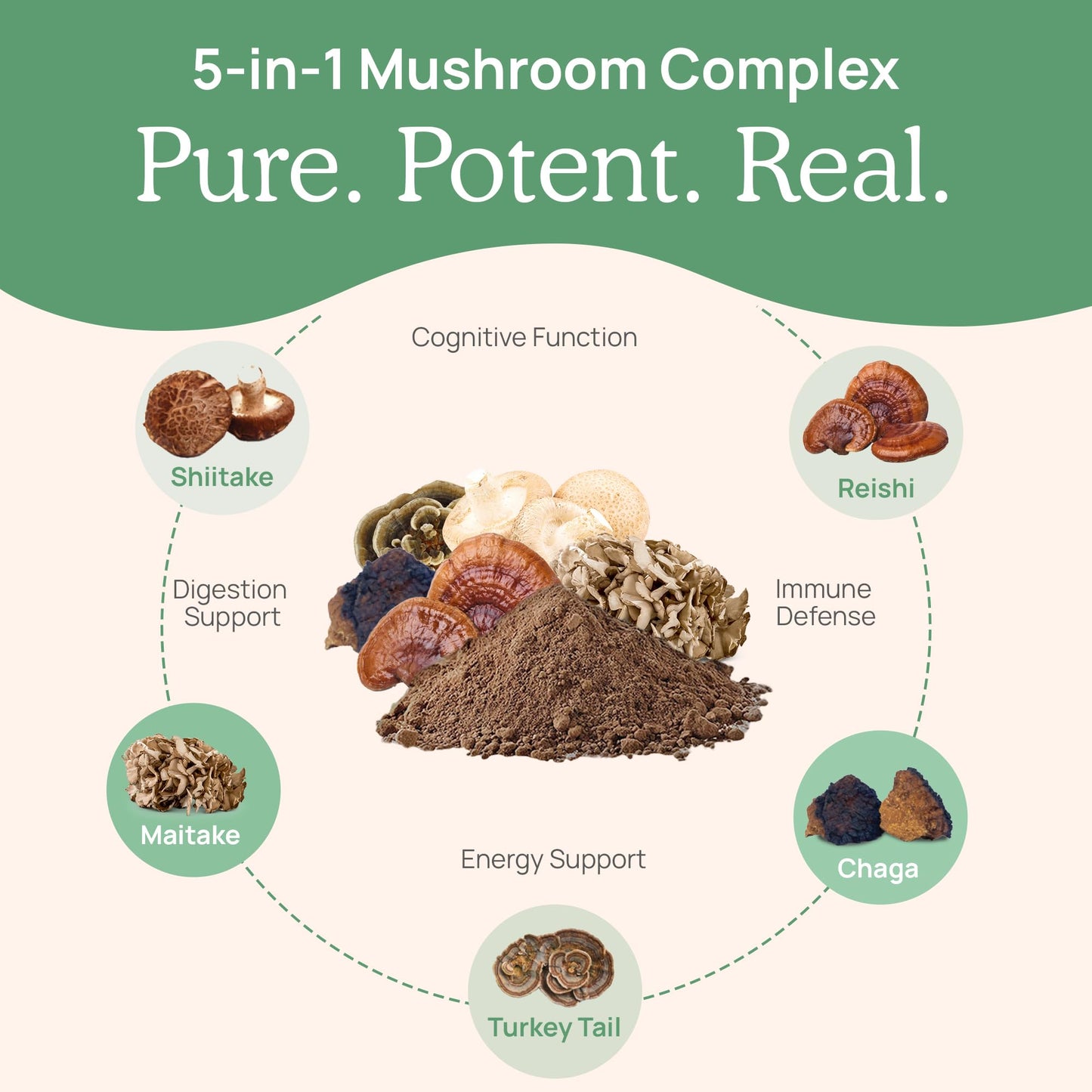 Real Mushrooms 5 Defenders Mushroom Complex Powder – Organic 5-Mushroom Blend, 100 Servings
