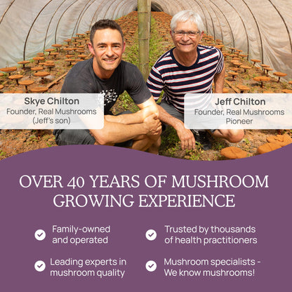 Real Mushrooms Chaga Capsules – Organic Chaga Extract, Vegan & Non-GMO, 300 Capsules