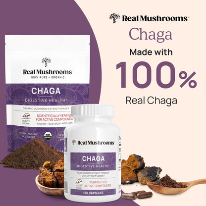 Real Mushrooms Chaga Capsules – Organic Chaga Extract, Vegan & Non-GMO, 300 Capsules