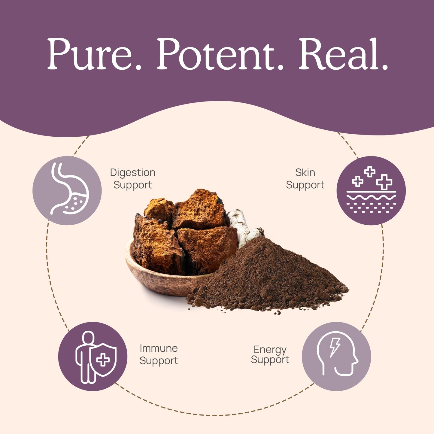 Real Mushrooms Chaga Mushroom Capsules – Organic Chaga Extract Powder with Extract Powder for Wellness & Energy Support– Vegan, Non-GMO, 120 Capsules – Organic Mushroom Supplement
