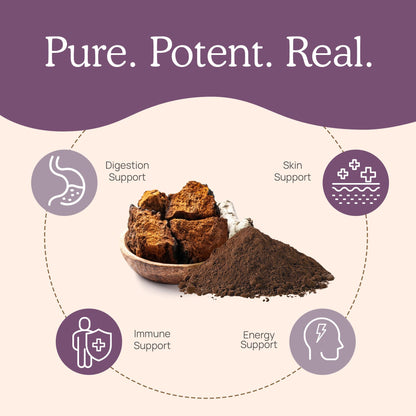 Real Mushrooms Chaga Mushroom Capsules – Organic Chaga Extract Powder with Extract Powder for Wellness & Energy Support– Vegan, Non-GMO, 120 Capsules – Organic Mushroom Supplement