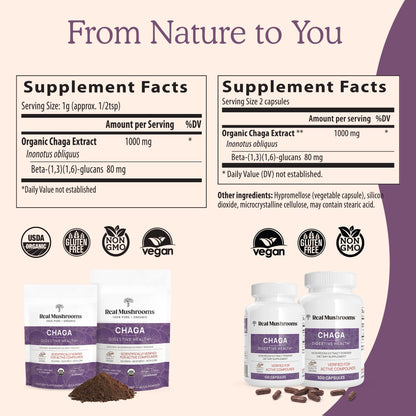 Real Mushrooms Chaga Capsules – Organic Chaga Extract, Vegan & Non-GMO, 300 Capsules
