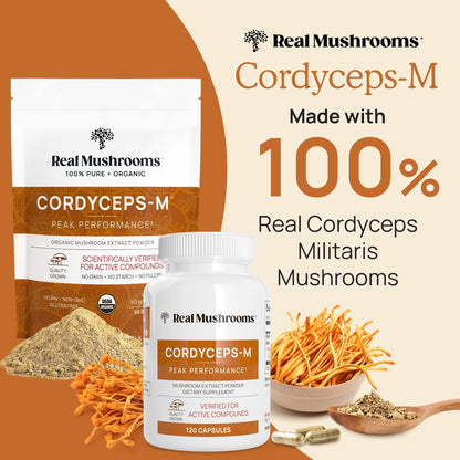 Real Mushrooms Cordyceps Capsules – Organic Cordyceps Militaris, 300 Vegan Capsules | 8% Beta-Glucans, Made in USA