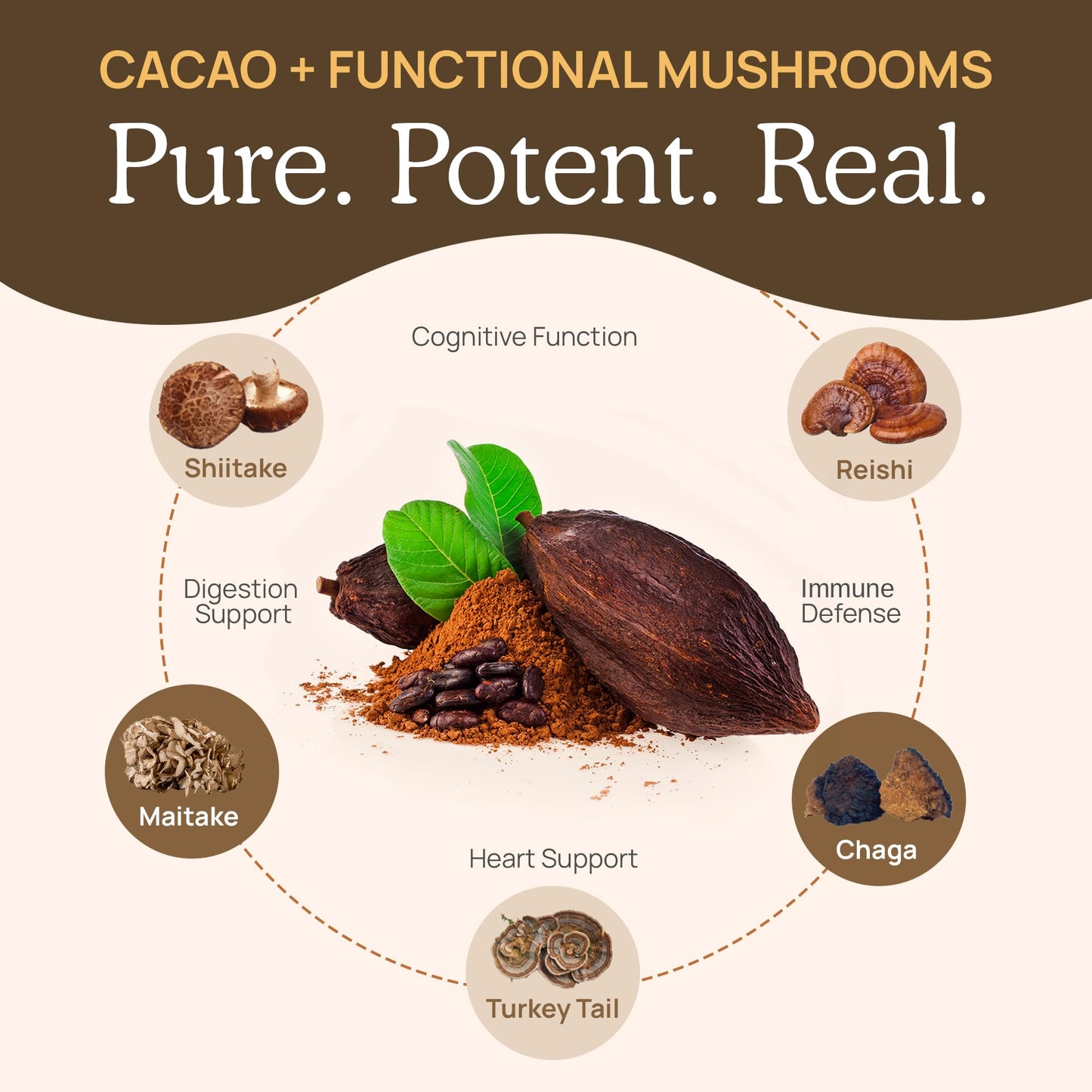 Real Mushrooms Organic Hot Chocolate Mix – 5 Defenders Cacao, Vegan, Gluten-Free