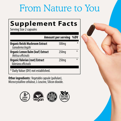 RealRest Capsules – Organic Reishi + Lemon Balm | Real Mushrooms (60 Count)
