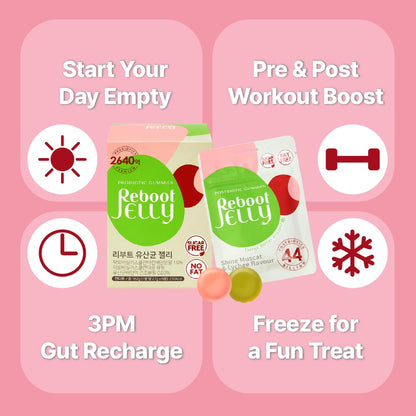 Reboot Probiotic Jelly – 44B CFU Gummies | Vegan, Sugar-Free, Shelf-Stable | Lychee & Muscat