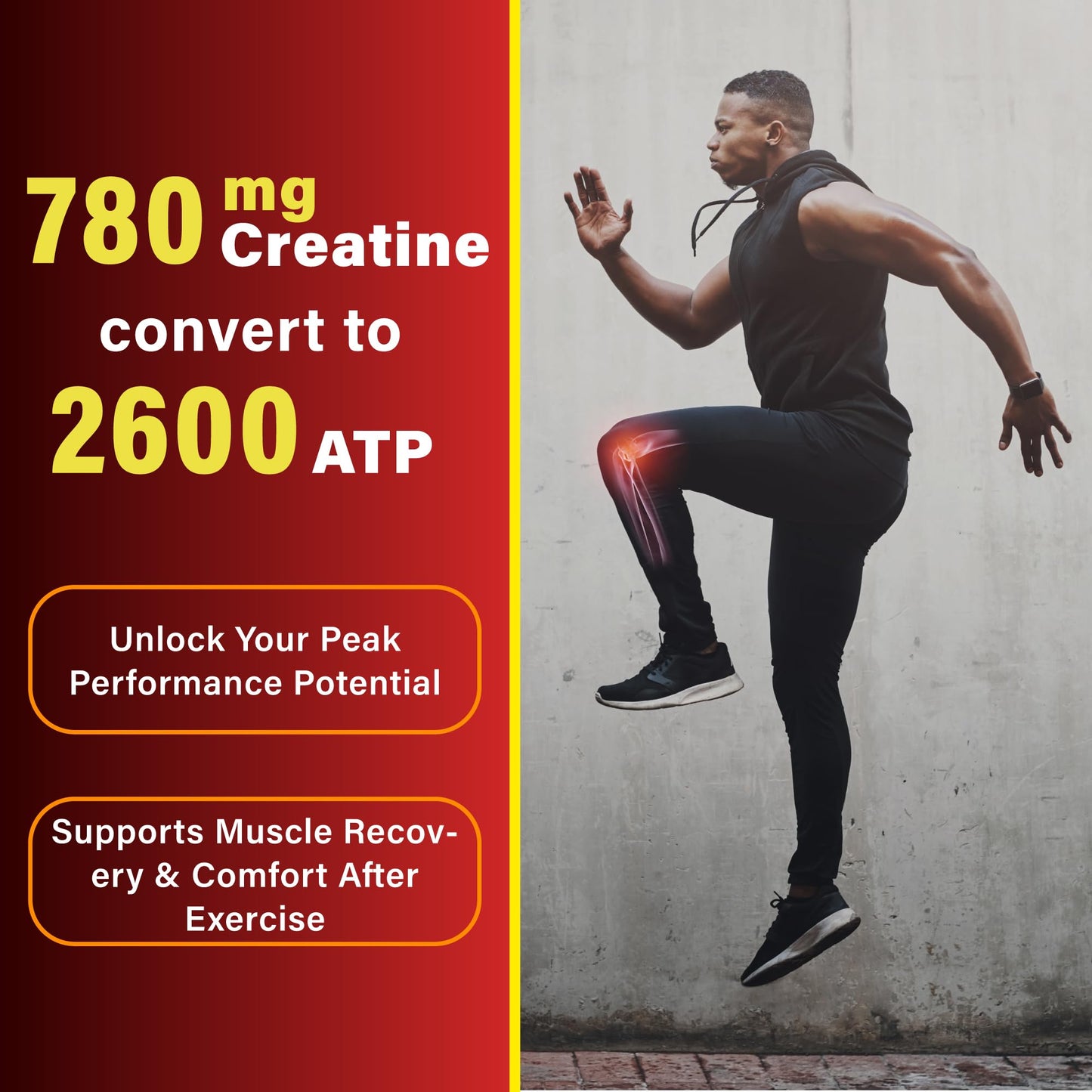Multivitamin with Creatine & BCAA for Cardio & Recovery | Heart & Muscle Protect