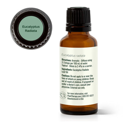Plant Therapy Eucalyptus Radiata Essential Oil 30 mL (1 oz) - 100% Pure