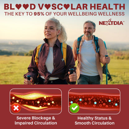 Red Yeast Rice Gummies 2400mg CoQ10 – Sugar-Free Vegan 60 Count | Cholesterol & Vascular Health