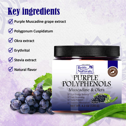 Reddy Naturals Purple Polyphenols – Muscadine Grape Extract (4.2 oz) – Plant-Based Antioxidants