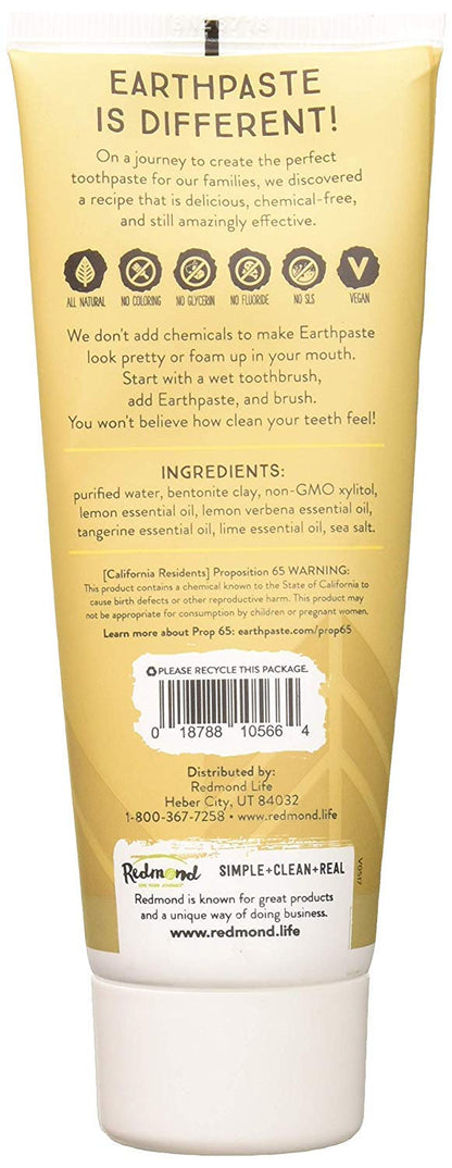 Redmond Real Salt Lemon Twist Earthpaste, 4 oz