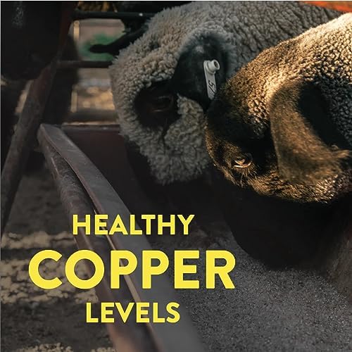 Redmond All Natural Sheep Mineral Supplement - Essential Trace Minerals for Health & Growth - 5 lbs