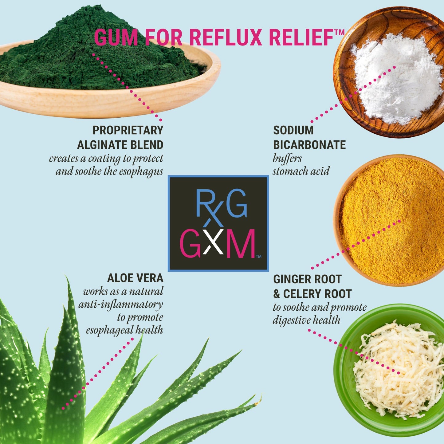 Reflux Gourmet Berry Soothe Gum – Alginate Therapy Gum for Acid Reflux, Digestive & Oral Health | Sugar Free, Gluten Free, Vegan