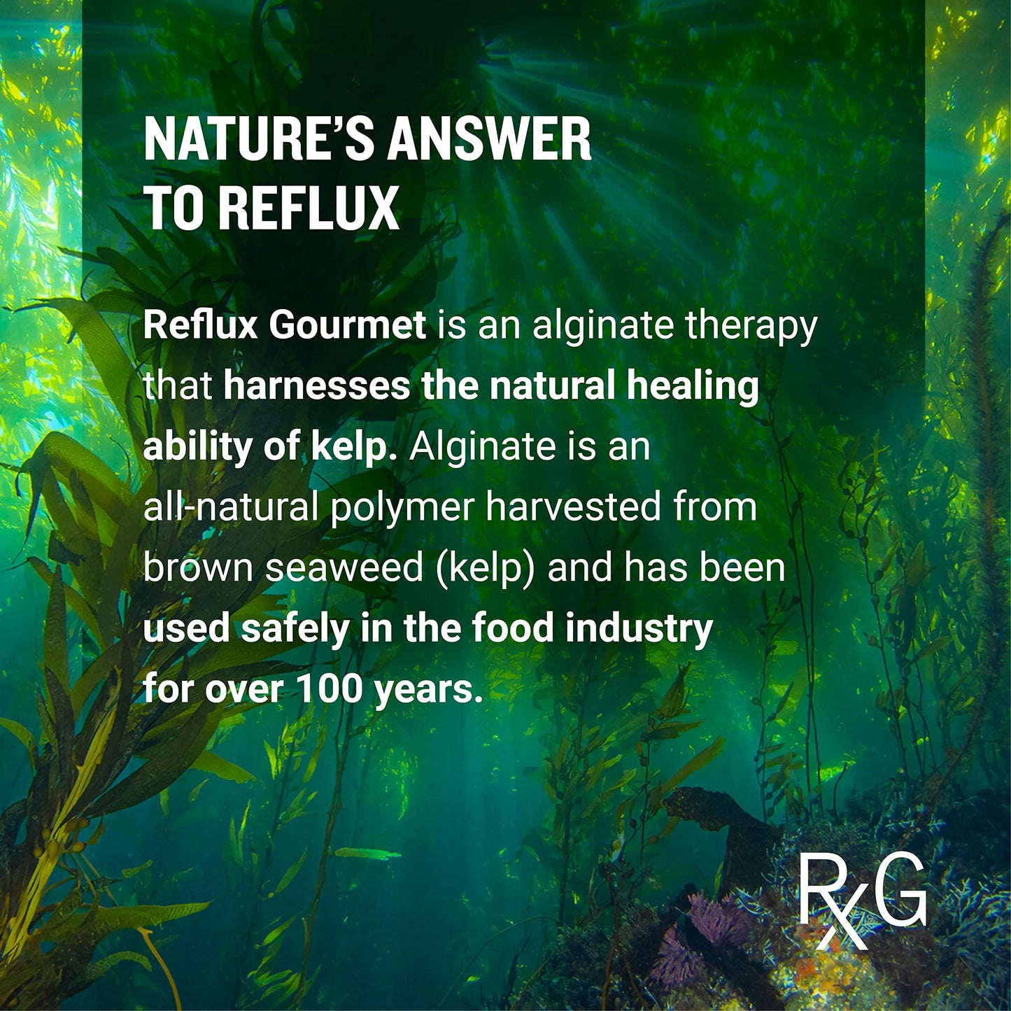 REFLUX GOURMET Mint Chocolate Rescue – All-Natural Alginate Therapy for Reflux & Heartburn Relief