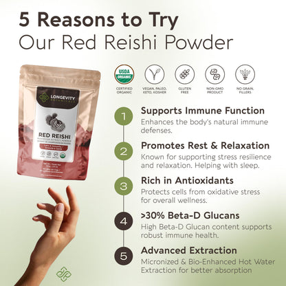 Longevity Botanicals Organic Reishi Extract Powder 100g | 10:1 Concentrate | 100% Fruiting Bodies