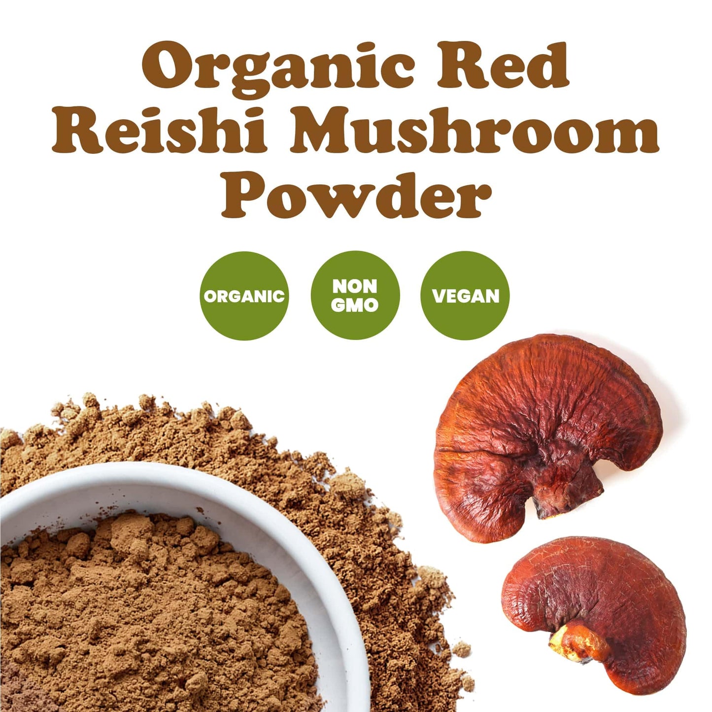 Food to Live Organic Red Reishi Mushroom Powder – 12 Ounces | Immunity & Holistic Wellness