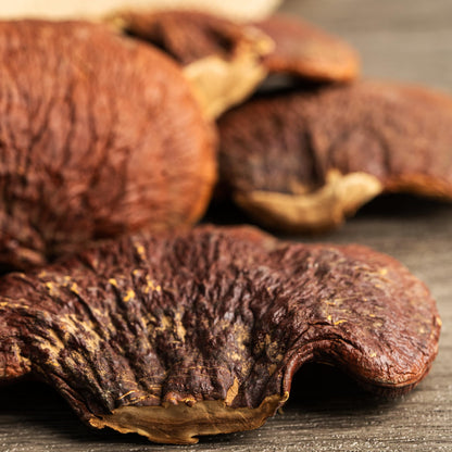 PURE ORIGINAL INGREDIENTS Reishi Mushroom (1lb) Lingzhi, Traditional Supplement, Non-GMO, Lab-Verified