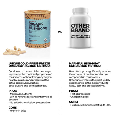 Reishi Organic Mushroom Supplement Capsules | Ganoderma Extract | Immune Support | 60 Capsules