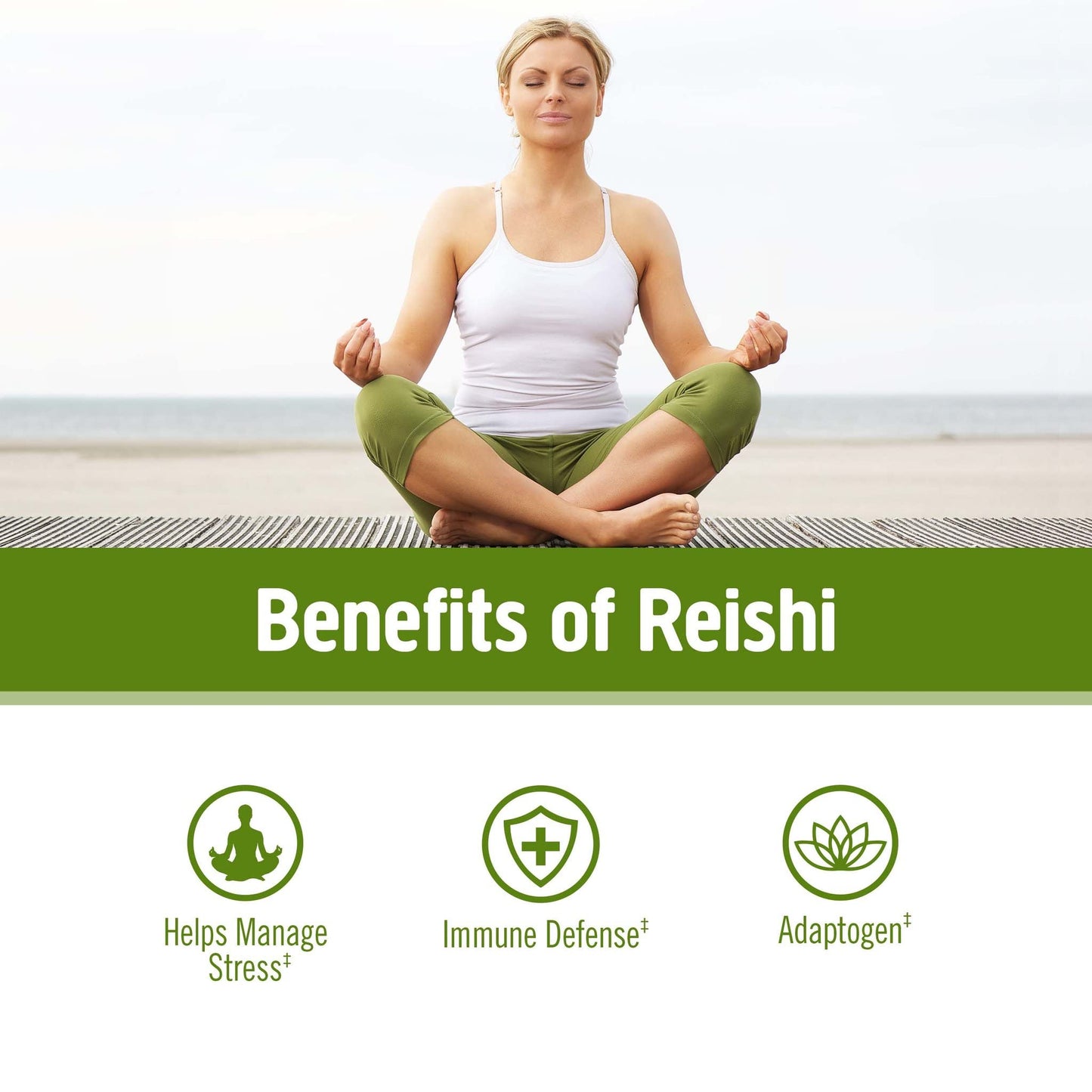 Om Mushroom Reishi Organic Powder – 100 Servings, Stress Relief & Immune Support