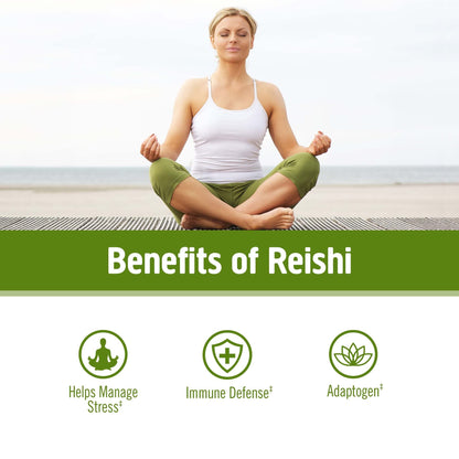 Om Mushroom Reishi Organic Powder – 100 Servings, Stress Relief & Immune Support