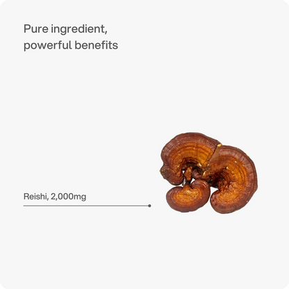 Headstrong Reishi Mushroom Capsules