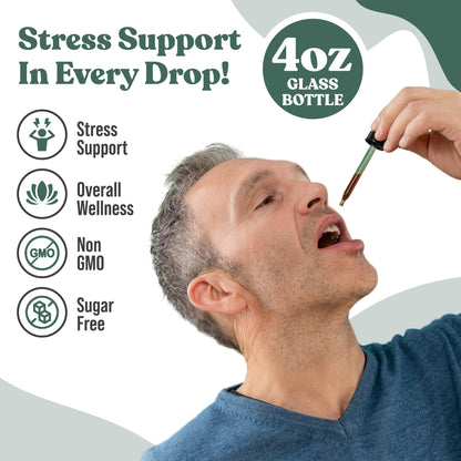 Rejuvica Health Active Holy Basil 4oz XL – Stress Support Liquid Extract (Vegan, Non-GMO)