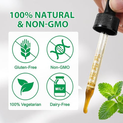 Lemon Balm Extract - Alcohol-Free Tincture (590mg per dose) - Natural Organic Lemon Balm Liquid for Relaxation | 2.02 Fl Oz