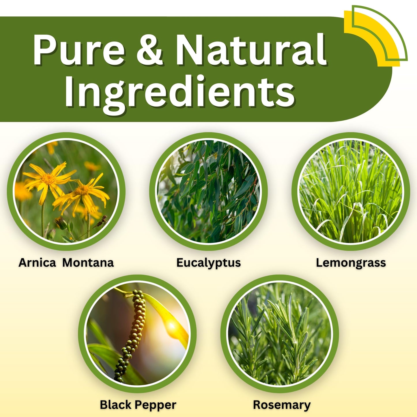 Relief Arnica Cream – All-Natural Massage Lotion with Lemongrass, Eucalyptus & Rosemary | Brookethorne Naturals