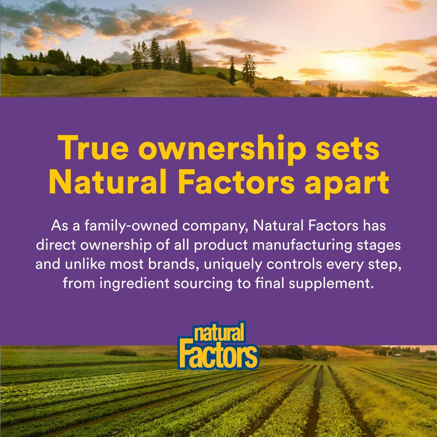 Natural Factors Organic Low FODMAP Reliefiber Powder – Unflavored, 150 g