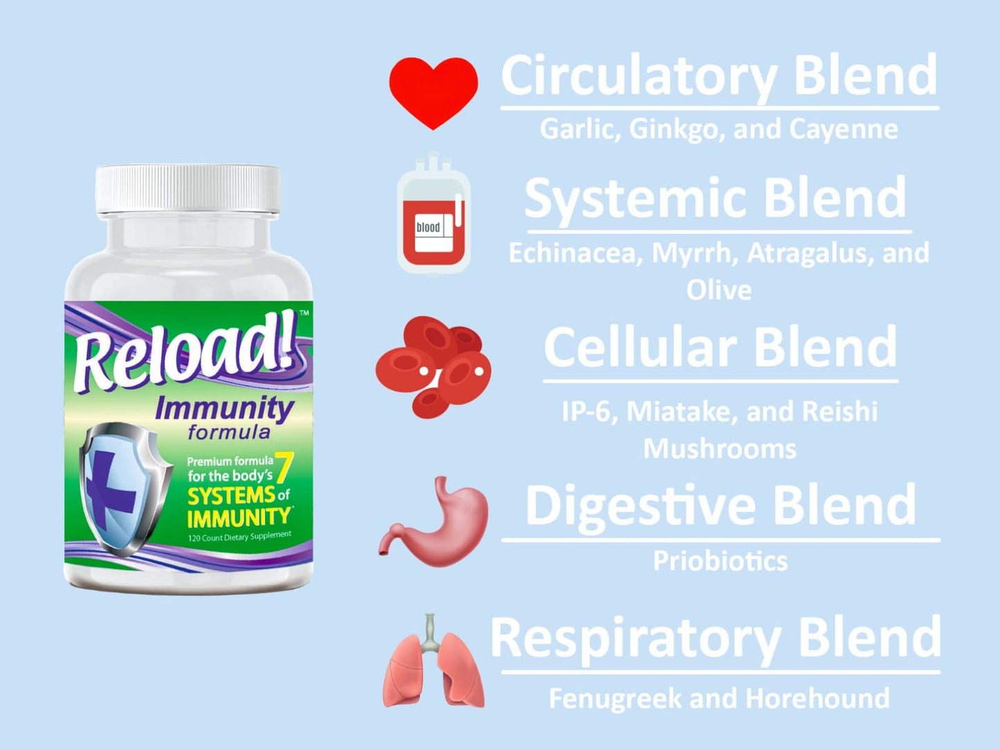 Reload! Immunity Antioxidant Multivitamin – Echinacea, Vitamins A, C, D, Zinc, Selenium, Ginkgo, Aloe, Probiotic/Prebiotic, Fenugreek | 120ct, 30 Day Supply