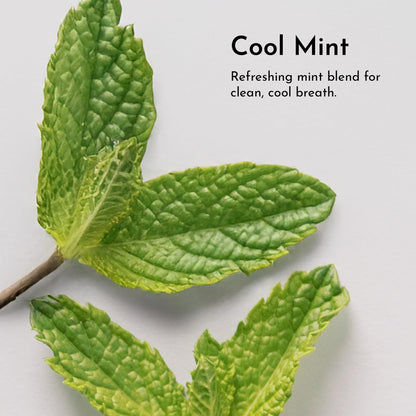 Remineralizing Tooth Powder – Fluoride-Free, Vegan & Real Food