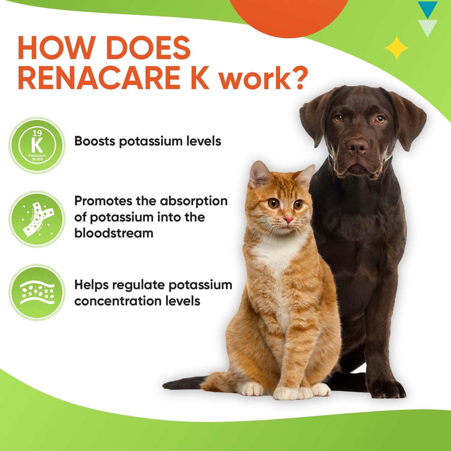 RenaCare K Potassium Gluconate Supplement for Dogs & Cats – Chicken Liver Flavor, 4 oz, Made in USA