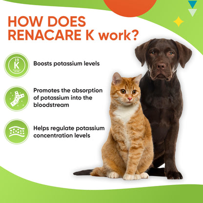 RenaCare K Potassium Gluconate Supplement for Dogs & Cats – Chicken Liver Flavor, 4 oz, Made in USA