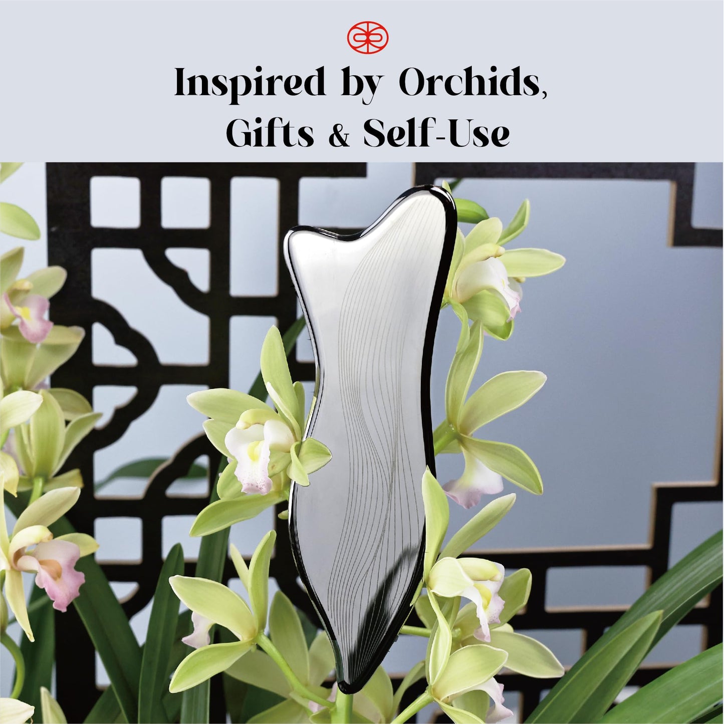 Rena Chris Stainless Steel Gua Sha Facial Tool - Acupressure & Face Massage (Silver)