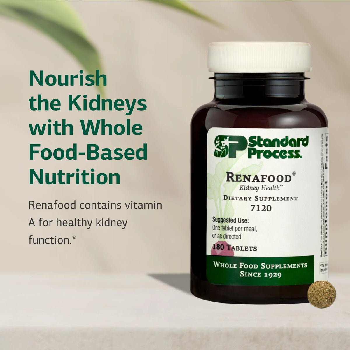 Standard Process Renafood - Kidney Support with Vitamin A, Non-Soy, 180 Tablets BritishVita | Premium UK Vitamins & Wellness Supplements