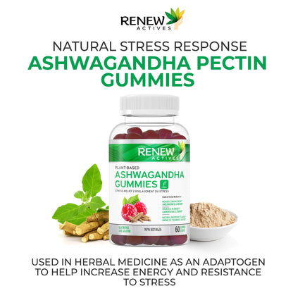 Renew Actives Ashwagandha Gummies 100MG – Vegan, Made in Canada