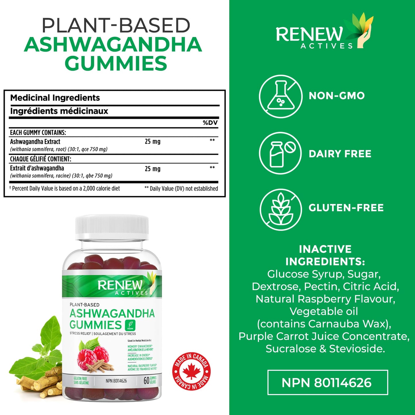Renew Actives Ashwagandha Gummies 100MG – Vegan, Made in Canada