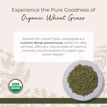 Starwest Botanicals Organic Wheat Grass Powder - 1 lb Bag | Kosher & Non-GMO